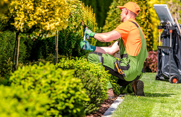 Jardinagem e Áreas Verdes